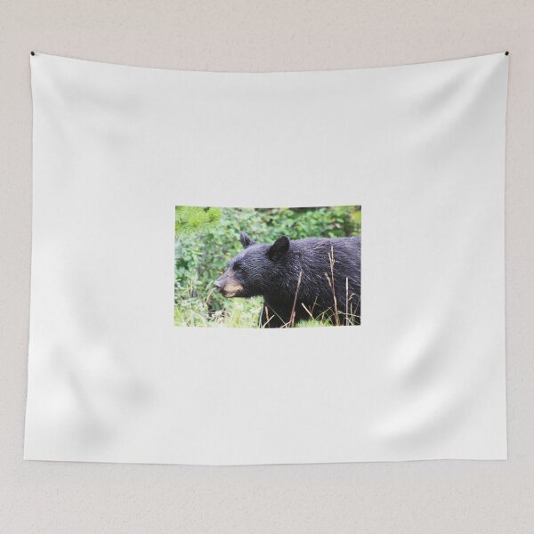 Item preview, Wet Black Bear designed and sold by Alyce Taylor.