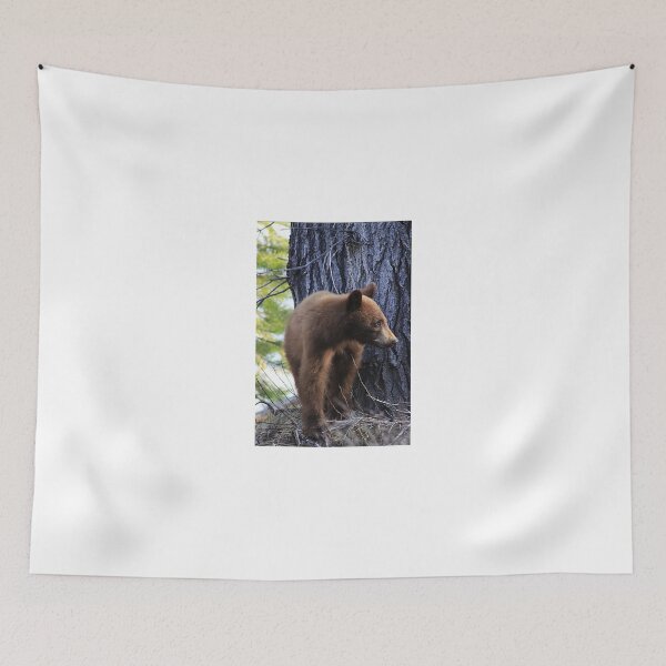 Item preview, Just Looking Around designed and sold by Alyce Taylor.