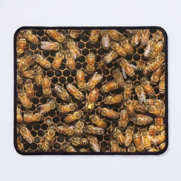 Item preview, Apiary - Bee - A hail the queen designed and sold by Mike Savad Photography.
