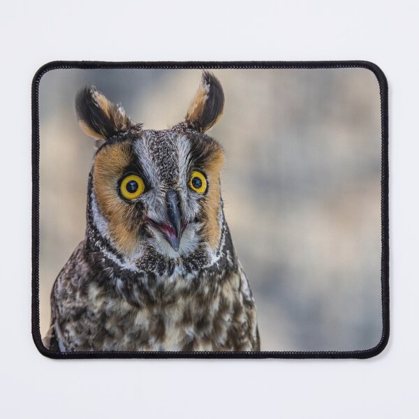 Item preview, Happy Long Eared Owl Portrait designed and sold by Vargulich.