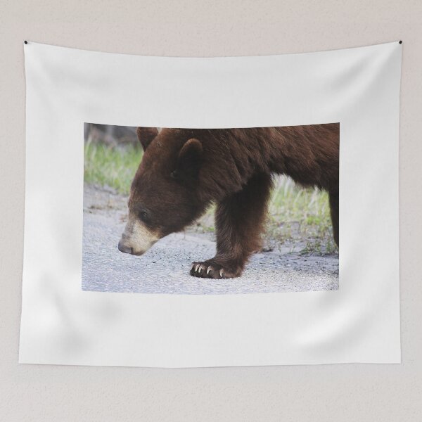 Item preview, Big Paws designed and sold by Alyce Taylor.
