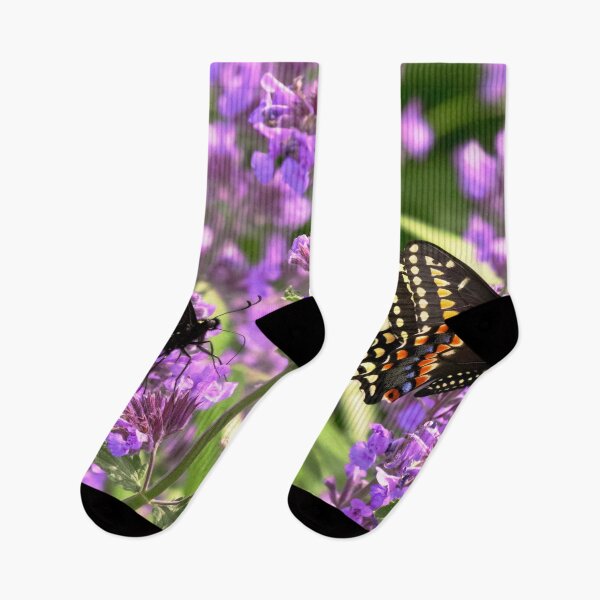 Item preview, Insect - Butterfly - American Swallowtail on Kit Cat Flowers designed and sold by Mike Savad Photography.