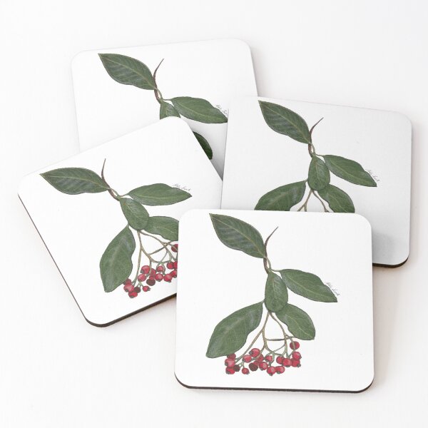 Item preview, Watercolor illustration of wild berries - Pyracantha Crenulata designed and sold by Malu-Iriarte.