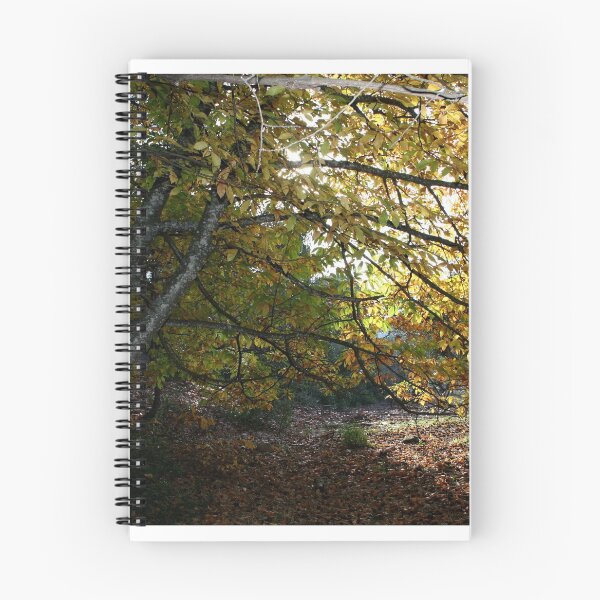 Item preview, tree in autumn designed and sold by karlosss.