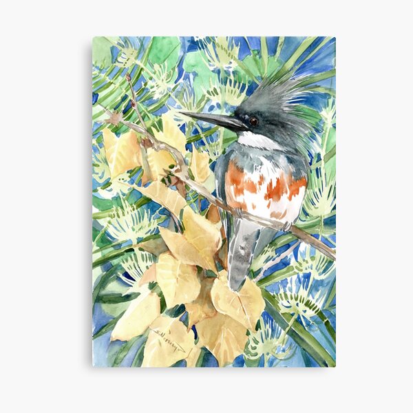 Belted Kingfisher Canvas Print