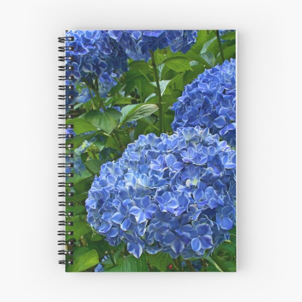 Item preview, Hydrangea Variegated designed and sold by heidiypi1.