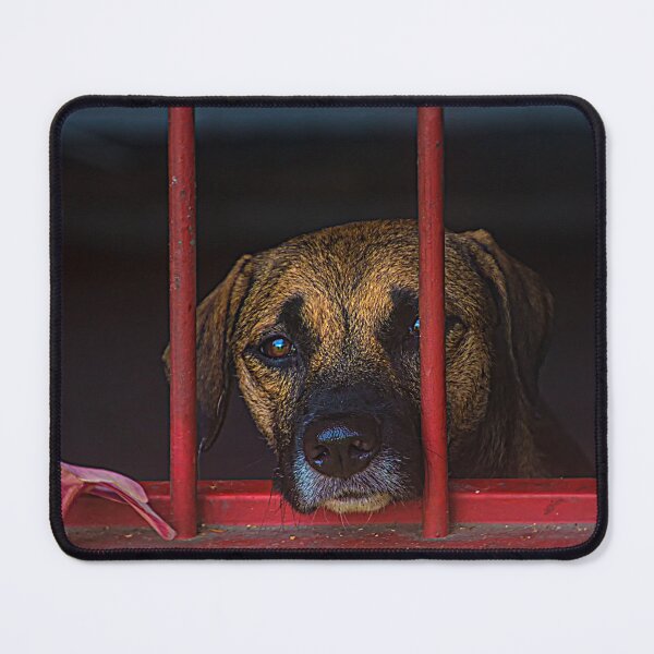Item preview, HELP! - Adopt Rescued Dogs And Cats designed and sold by alabca.