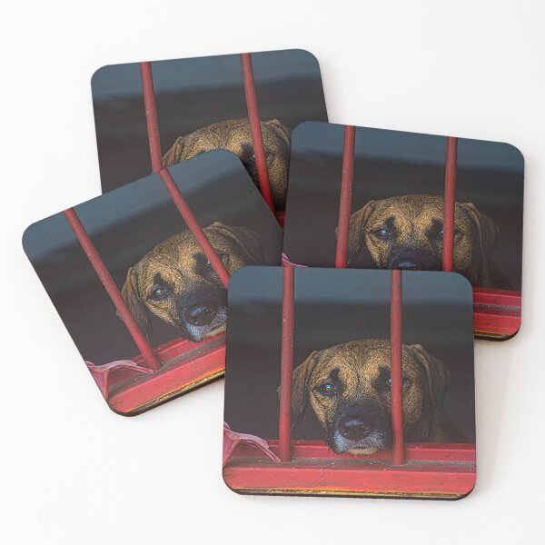 Item preview, HELP! - Adopt Rescued Dogs And Cats designed and sold by alabca.