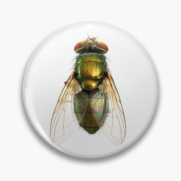 Item preview, Fly designed and sold by TikiLuke.