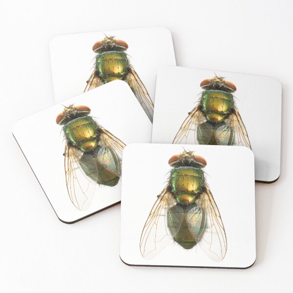 Item preview, Fly designed and sold by TikiLuke.