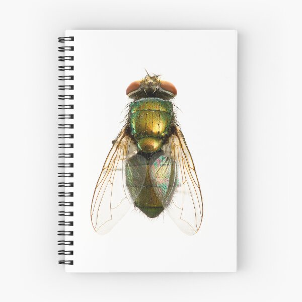 Item preview, Fly designed and sold by TikiLuke.