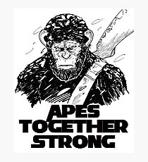 Caesar: Apes Together Strong Photographic Print
