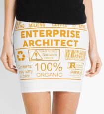 ENTERPRISE ARCHITECT - NICE DESIGN 2017 Mini Skirt