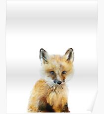 Kleiner Fuchs Poster