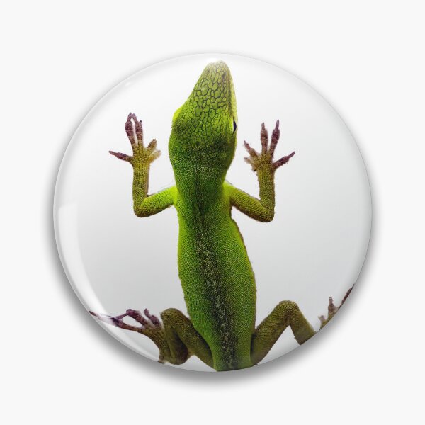 Item preview, Creeping Anole designed and sold by Harrisonphoto.