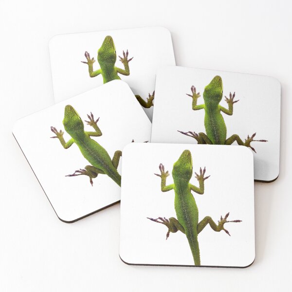 Item preview, Creeping Anole designed and sold by Harrisonphoto.