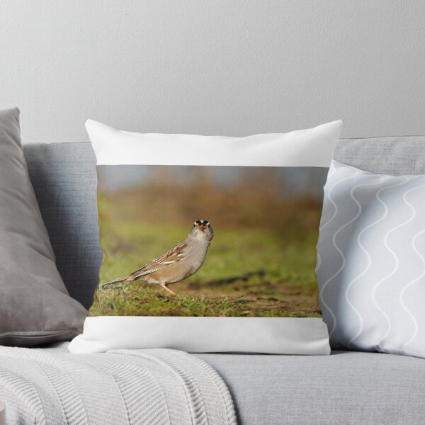 Item preview, White-crowned Sparrow designed and sold by adjohnson.