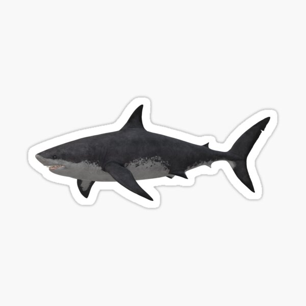 Item preview, Megalodon Shark designed and sold by mhmtcaliskan.