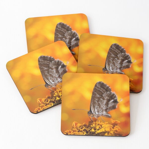 Item preview, Insects (MKW-I.10) designed and sold by Katrina Morgan.