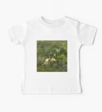 Pussy Willow Baby Tee