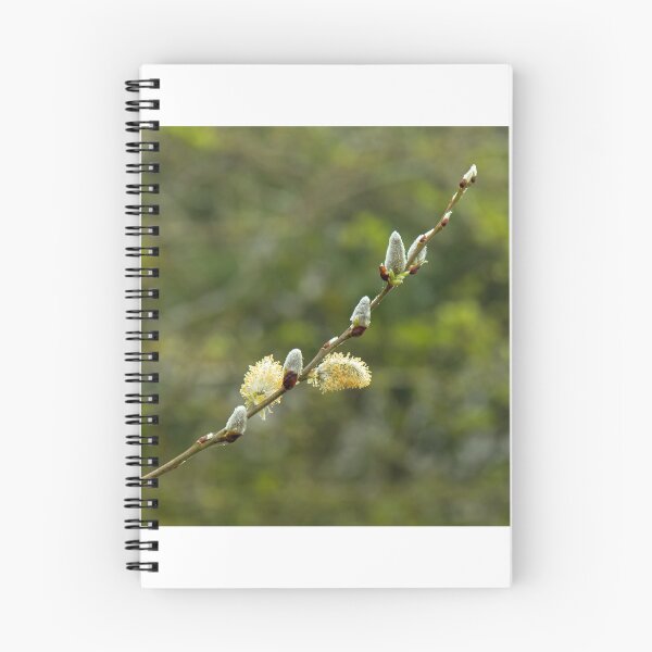 Item preview, Pussy Willow designed and sold by Sue Robinson.