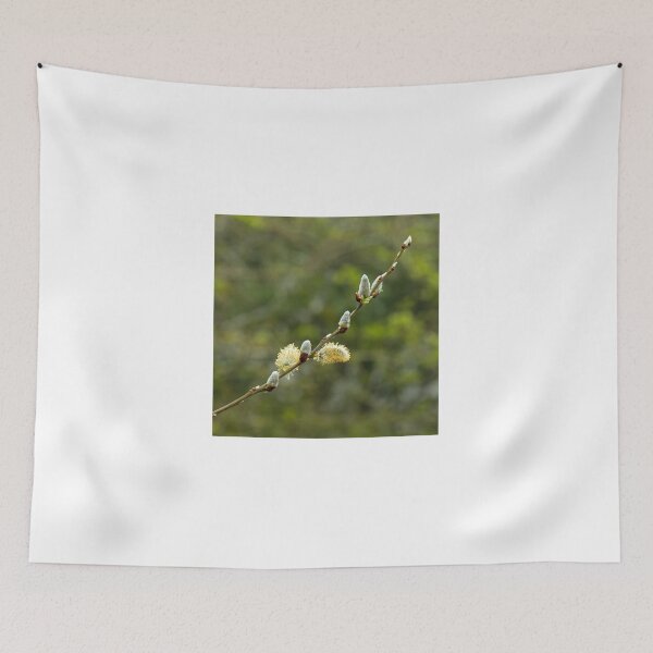 Item preview, Pussy Willow designed and sold by Sue Robinson.