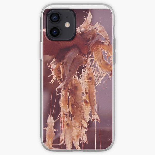 Cooked Shrimp Iphone Case Cover By Bravuramedia Redbubble