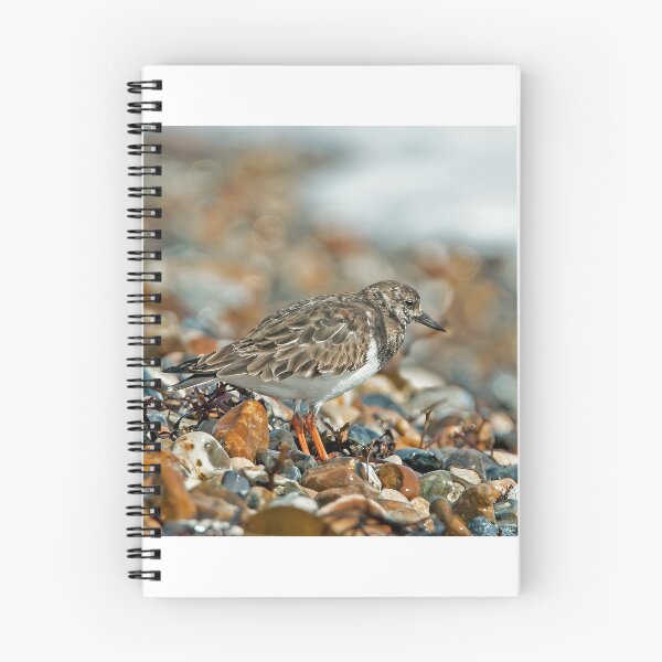 Item preview, Turnstone designed and sold by Sue Robinson.