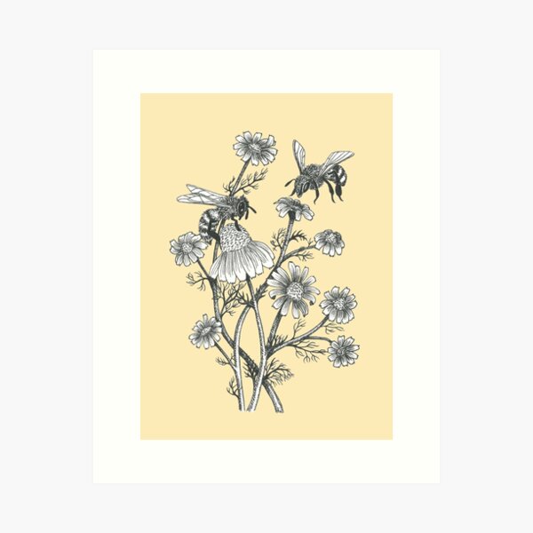 bees and chamomile on honey background Art Print