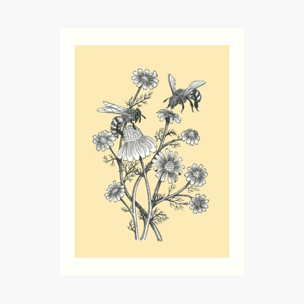 bees and chamomile on honey background Art Print