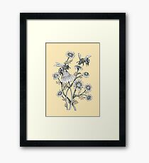 bees and chamomile on honey background Framed Print