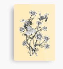 bees and chamomile on honey background Metal Print