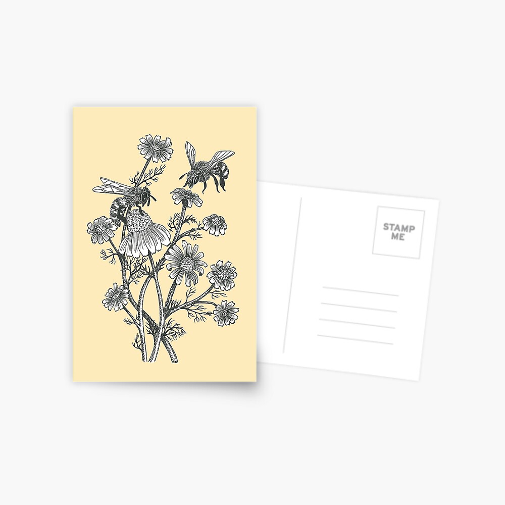bees and chamomile on honey background  Postcard