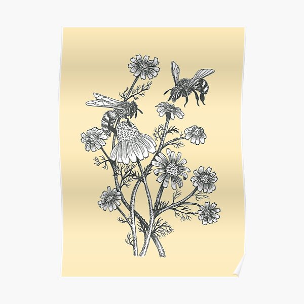 bees and chamomile on honey background Poster