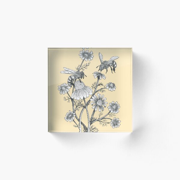 bees and chamomile on honey background Acrylic Block