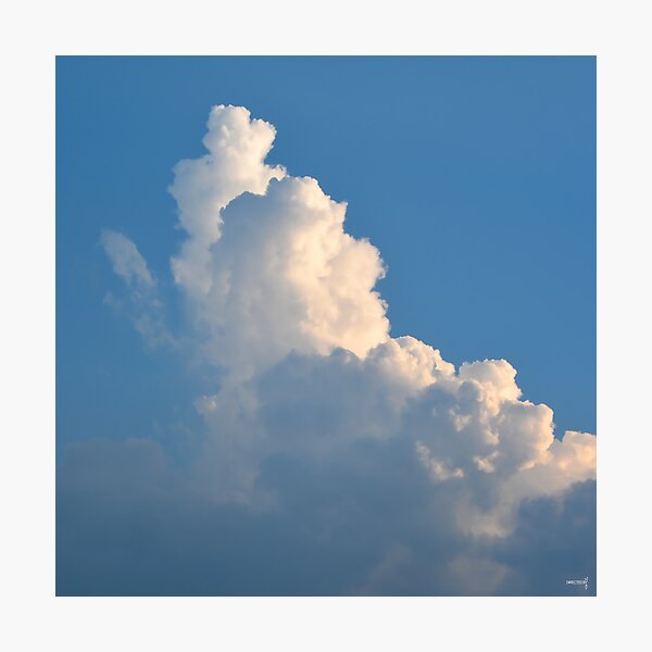 Floating Photographic Print