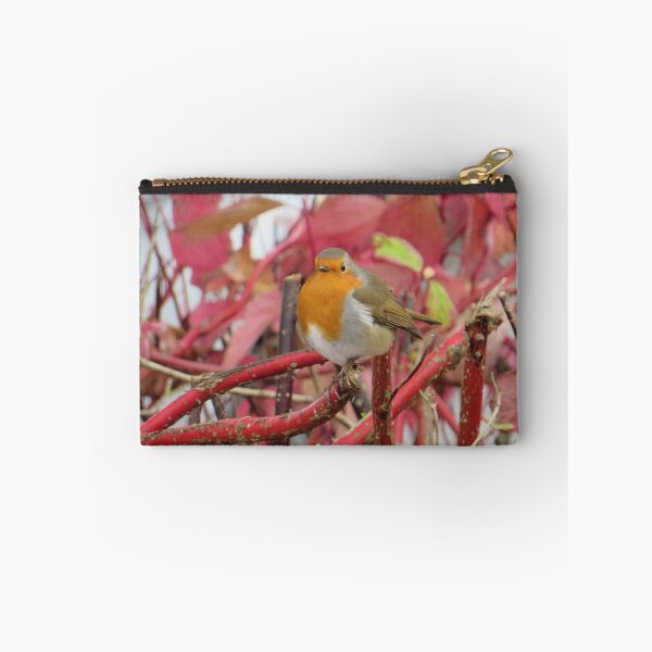 Item preview, Ireland - Blarney Robin designed and sold by Solveig Winn.