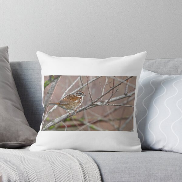 Item preview, Song Sparrow designed and sold by adjohnson.