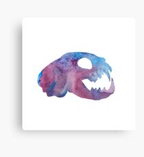 Cat Skull Art Metal Print