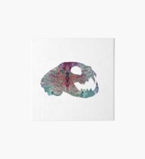 Cat Skull Art Art Board