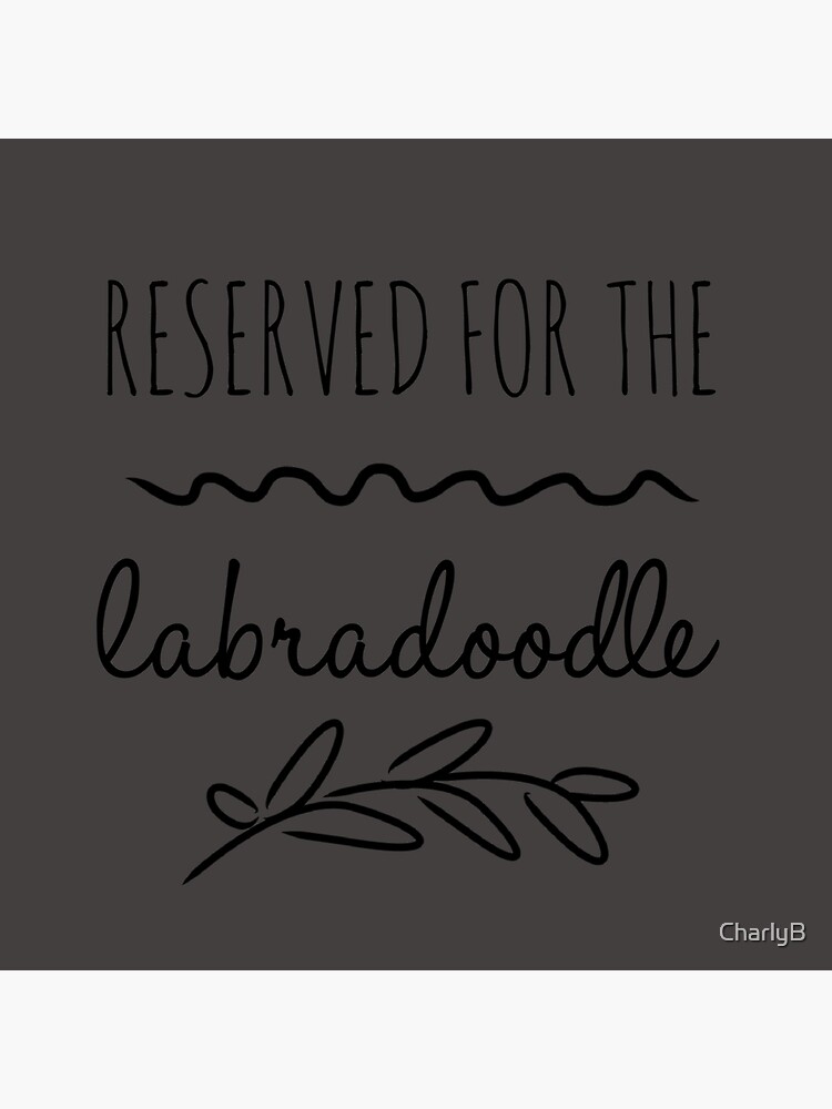 Reserved for the Labradoodle by CharlyB