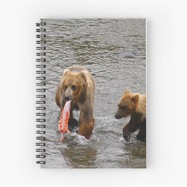 Item preview, Brown Bear mother with three cubs is catching a salmon at Brooks Falls in Katmai National Park in Alaska. - WelshDesigns designed and sold by welshdesigns.