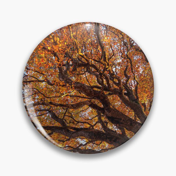 Item preview, Beautiful Autumn Trees against the sky designed and sold by CyaniRose.