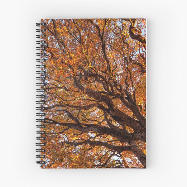 Item preview, Beautiful Autumn Trees against the sky designed and sold by CyaniRose.
