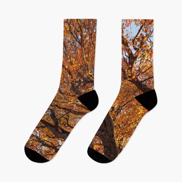 Item preview, Beautiful Autumn Trees against the sky designed and sold by CyaniRose.