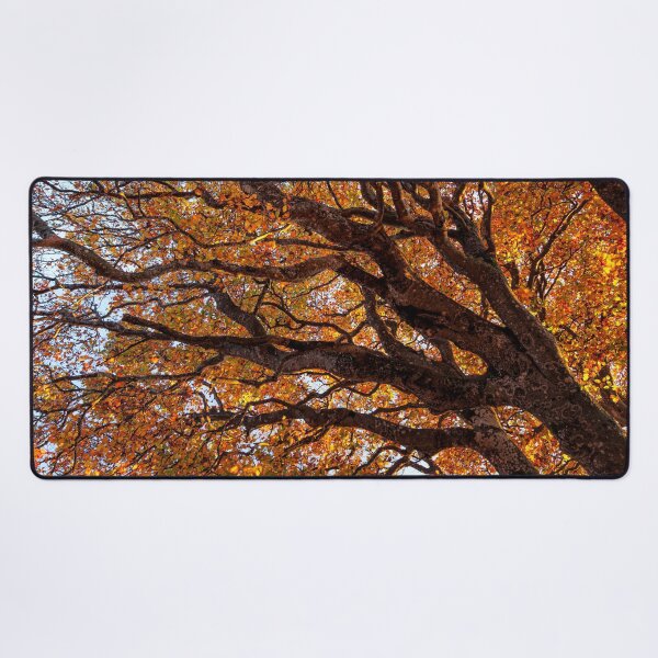 Item preview, Beautiful Autumn Trees against the sky designed and sold by CyaniRose.