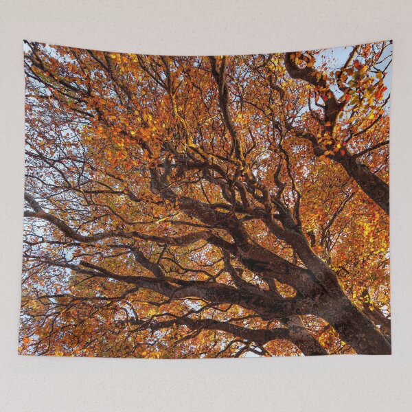 Item preview, Beautiful Autumn Trees against the sky designed and sold by CyaniRose.