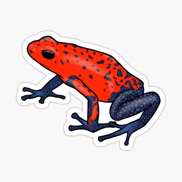 Item preview, Strawberry Poison Dart Frog designed and sold by ReptilesByClo.