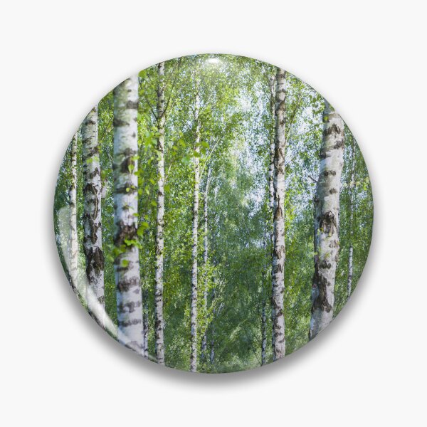 Item preview, Shimmering Silver Birch Trees designed and sold by CyaniRose.
