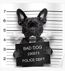 Funny French Bulldog Mugshot T-Shirt Poster